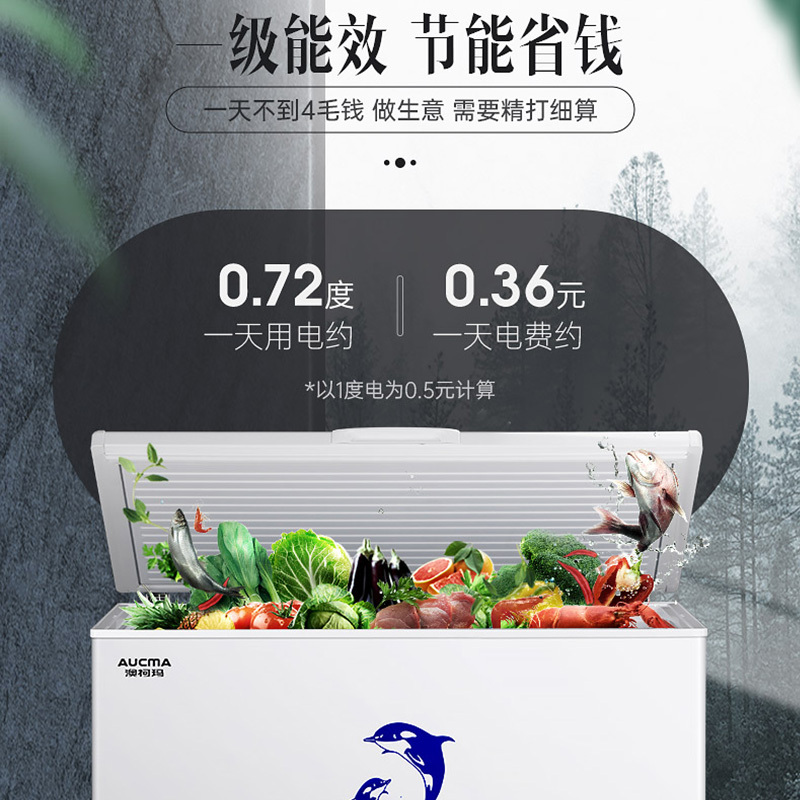 澳柯玛BC/BD-308HNE大容量家用冰柜一级能效减霜阻霜商用冷柜顶开冷冻冷藏冰箱