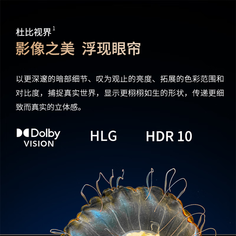 夏普(SHARP)4T-C75GN7000A 75英寸144HZ 分区控光 4G+64G 杜比视界 液晶网络智能电视高清大图