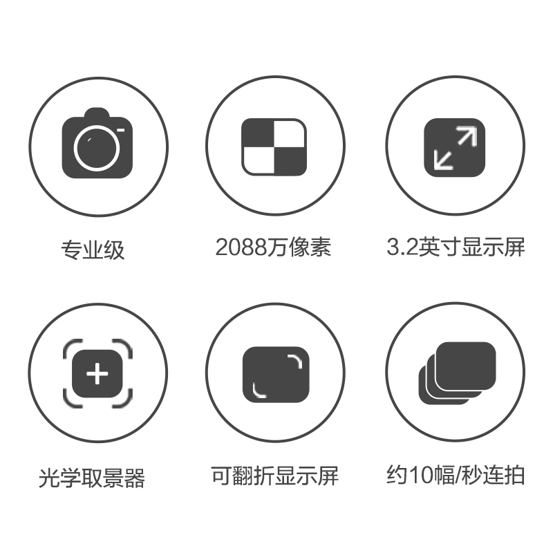 尼康(Nikon) D500（24-70F2.8E）数码单反相机 单镜头套装 约2088万像素