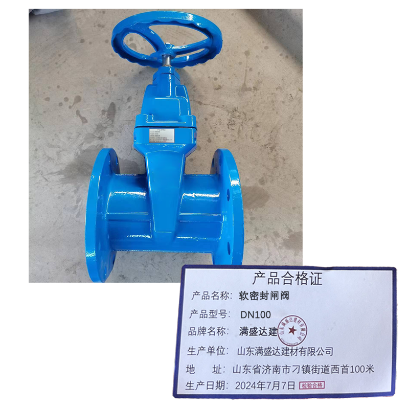 满盛达建 软密封闸阀 DN100 个高清大图