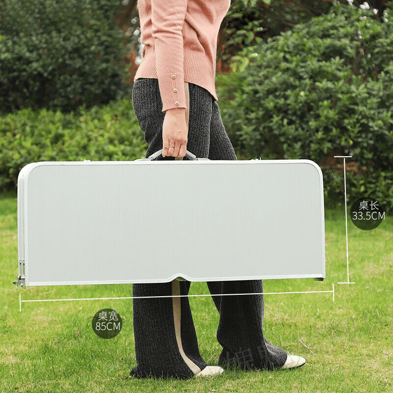 DINTHIN DS-ZDZY10 85*68*66CM 户外折叠桌椅 1套图片