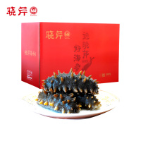 晓芹 海参 XiaoQin 大连晓芹即食海参 冷冻即食海参 8-10头/500克/包*3包 1500克 礼盒装