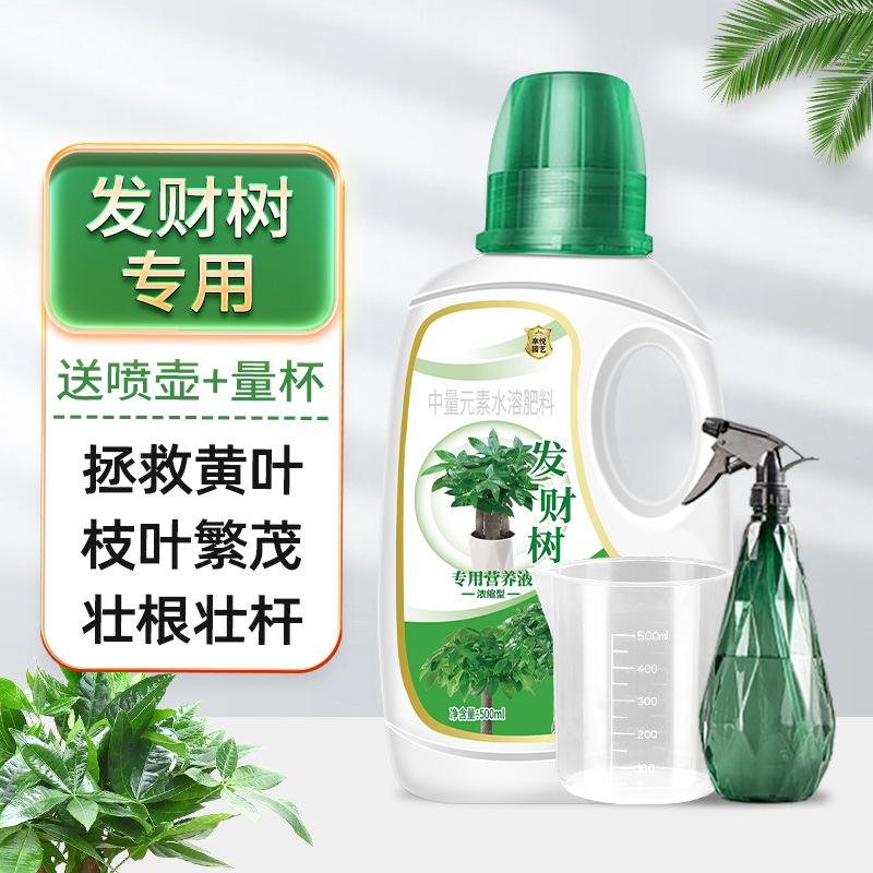 【补贴10%】发财树营养液肥料专用肥治叶子发黄掉叶烂根室内盆栽植物花肥通用 发财树专用型营养液500ml1瓶(送量杯+喷壶