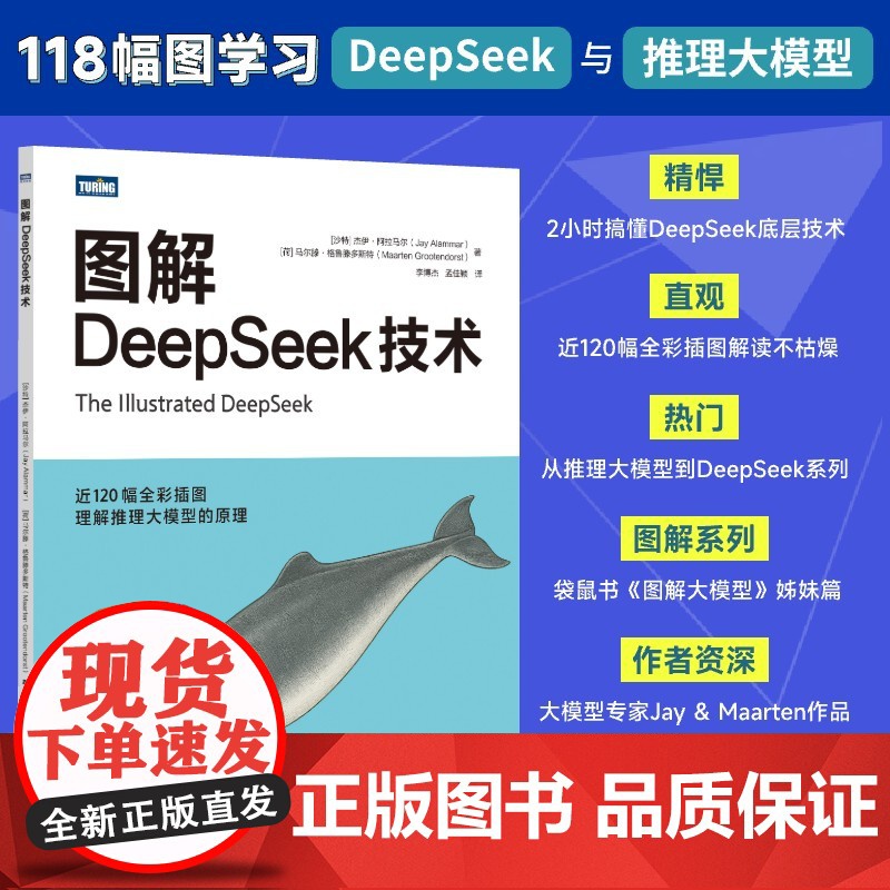 图解DeepSeek技术 预计发货07.26