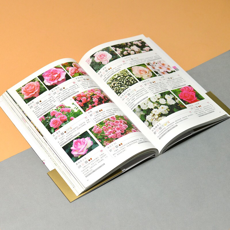 [醉染正版][书含章图鉴-玫瑰花月季花图鉴 700多种的鉴赏养护指南日本育种专家园艺大师的经验传授轻松培育出五彩斑斓的花高清大图