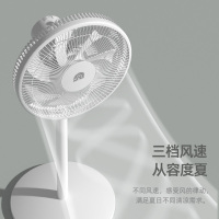 容声电风扇落地扇家用摇头机械立式电扇宿舍节能工业电扇059J
