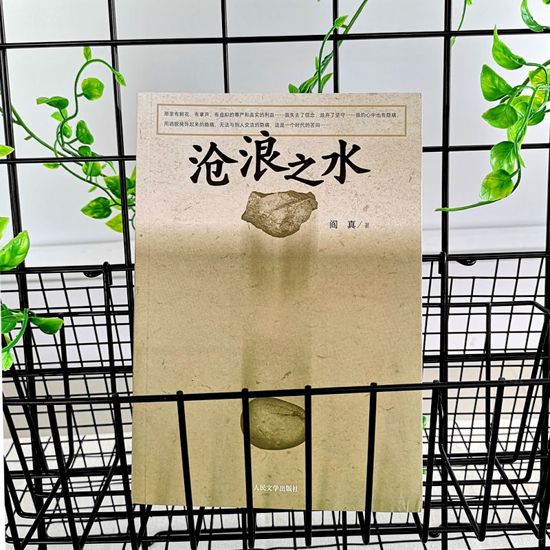 正版 沧浪之水 阎真 人民文学出版社 中国现当代小说 爱情小说 现当代小说书籍 阎真 活着之上 岁月 书排行榜 博库网
