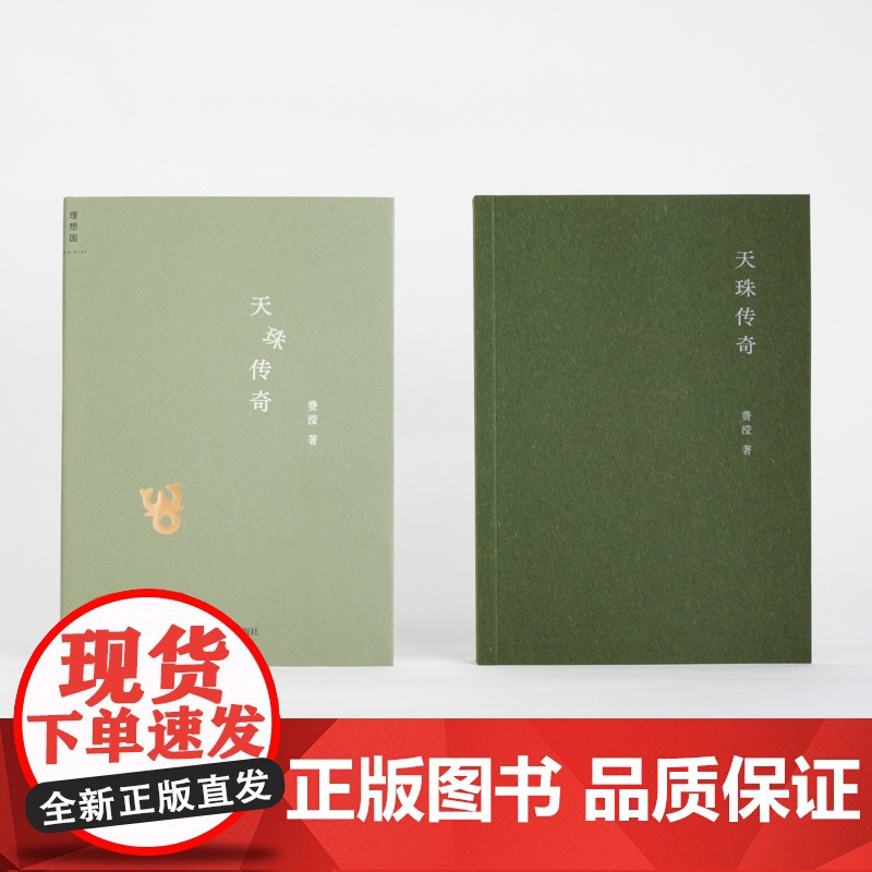 天珠传奇 费滢 全新作品集 东课楼经变作者 三部风格各异的中篇小说 行则涣 反景与天珠传奇 理想国高清大图