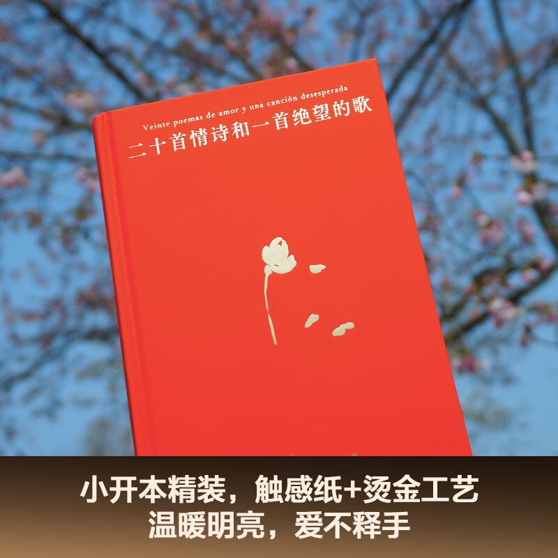 [正版]二十首情诗和一首绝望的歌 聂鲁达 西班牙语直译 精装典藏版 经典情诗集 诺奖诗人 外国诗歌 果麦出品 浙江文艺高清大图