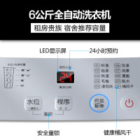 TCL 6公斤 家用波轮 洗衣机全自动 一键脱水（亮灰色）XQB60-21CSP