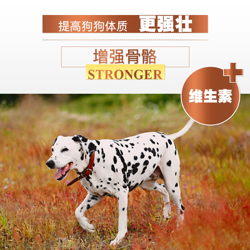 斑点幼犬专用狗粮小型犬大麦町斑点狗粮低盐美毛补钙牛肉味2kg高清大图