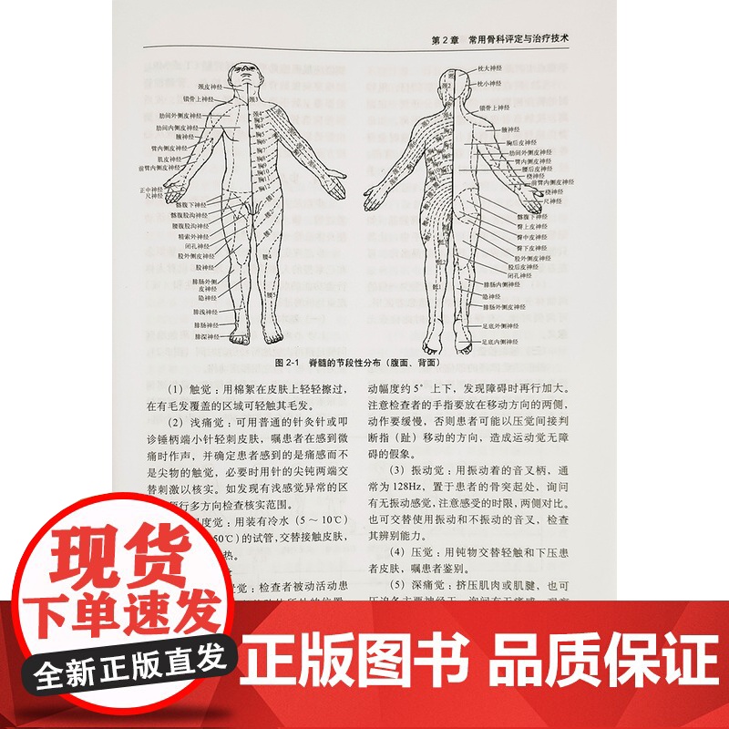 骨科创伤与运动损伤治疗策略实用骨科学书籍手术学骨与关节损伤康复学运动创伤学运动医学肩肘髋膝踝关节常见运动损伤疾病临床诊断高清大图