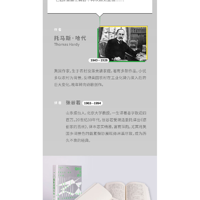 正版 德伯家的苔丝:一个纯洁的女人 (英)托马斯·哈代(Thomas Hard