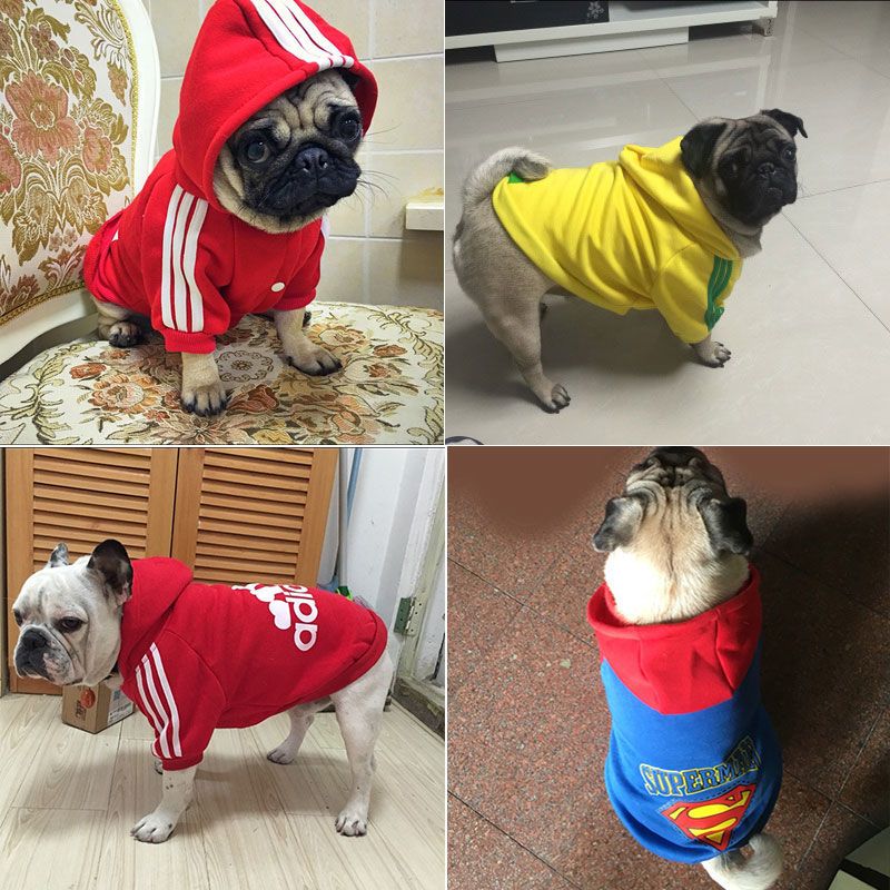 狗狗衣服巴哥秋冬装秋装秋天八哥法斗牛犬柯基宠物小中大型犬泰迪 蓝色超人秋冬(扣子款) XS(建议1-2斤)