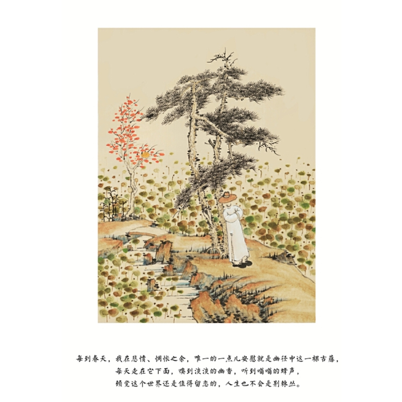 [正版]过好这生活 心安即是归处季羡林散文集随笔文学 不焦虑人生智慧处世哲学 季羡林的书 心灵修养治愈系励志书籍