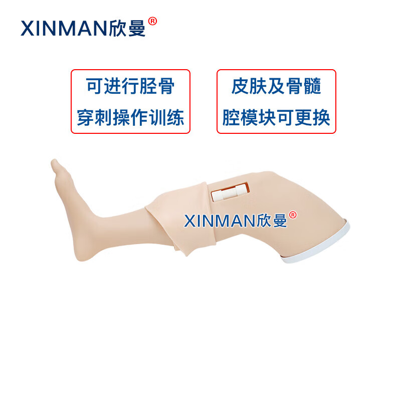 欣曼科教 胫骨穿刺模拟训练模块 骨髓腔穿刺输液训练模型XM-GC4高清大图