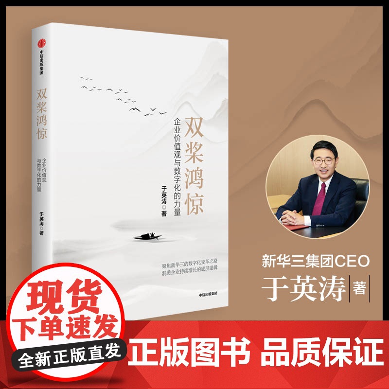 双桨鸿惊 企业价值观与数字化的力量 于英涛著 新华三数字变革之路 企业持续增长的底层逻辑 管理高清大图
