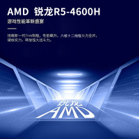 机械革命（MECHREVO）蛟龙 15.6英寸游戏本轻薄本 发烧游戏笔记本电脑(AMD六核R7-4800H 16GB 512GB固态 RTX2060 144Hz 高色域)