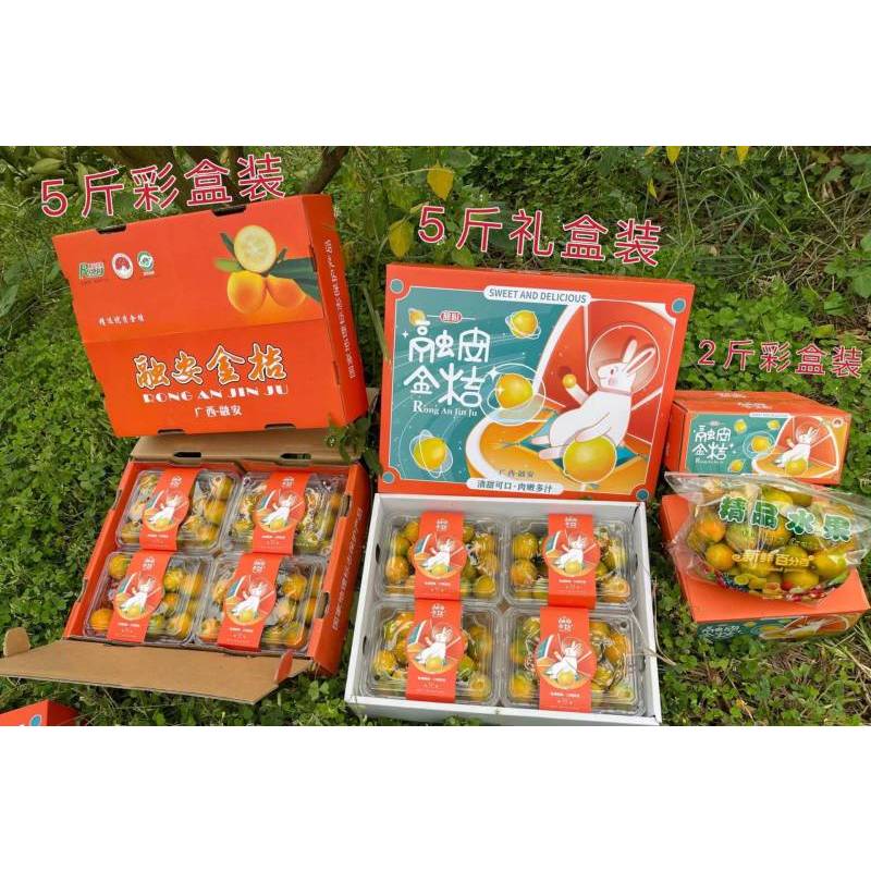 [富含VC]融安滑皮金桔2斤中果 32-39颗/斤彩箱装 纯甜无酸 脆嫩爽口 补充VC