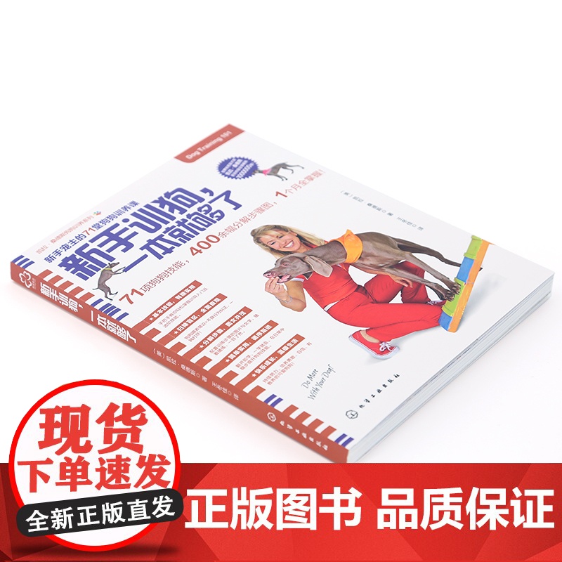 新手训狗 一本就够了 凯拉桑德斯狗狗训养系列 金毛马犬哈士奇训练狗狗教程训犬方法技巧 养狗狗狗宠物书籍大全高清大图