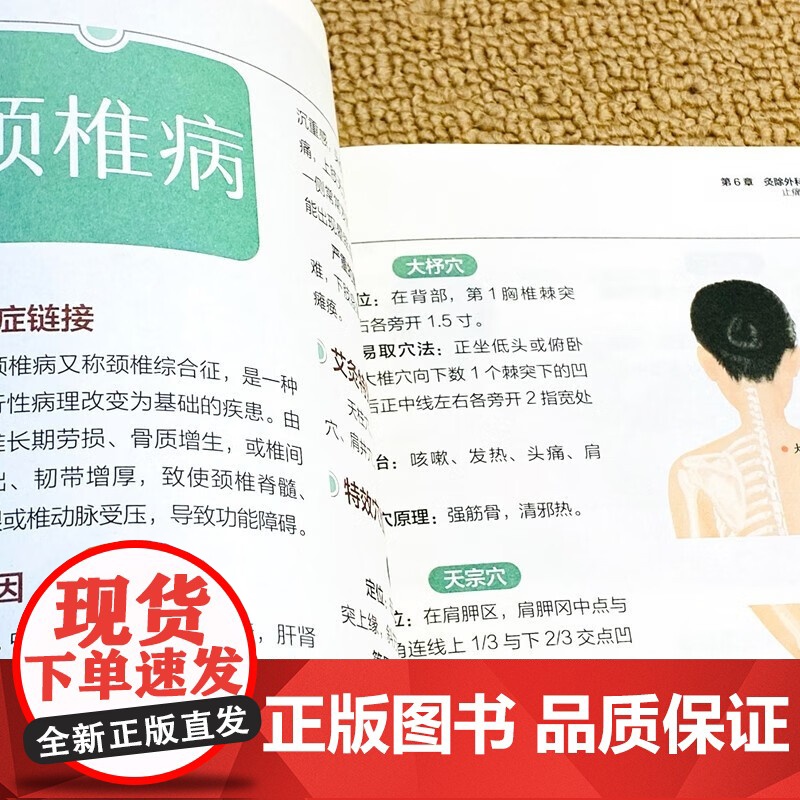 零基础学会艾灸 艾灸医学书籍大全艾灸疗法教程艾灸养生家用艾灸穴位书籍 零基础学艾灸入门 图解艾灸穴位大全中医中药养生书籍高清大图