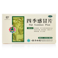 云丰 四季感冒片 24片 清热解表 发热头痛鼻流清涕咽痛 感冒咳嗽中成药