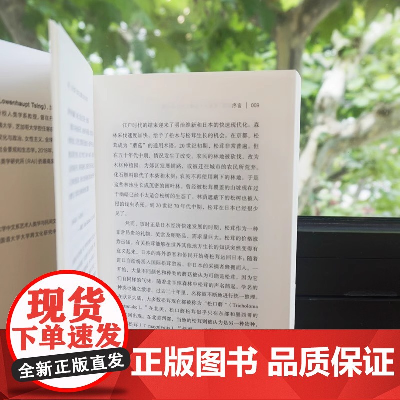 末日松茸 资本主义废墟上的生活可能 薄荷实验 罗安清 人类学社会经济学 荣获第六届单向街书店文学奖 2020年度作品奖高清大图