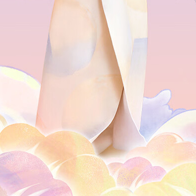 苏宁 彩虹 电热毯 T1570 1.5*0.7m高清大图