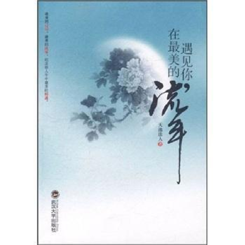 正版新书】遇见你.在最美的流年天池洼人9787307094093