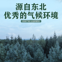 一品爽 精选东北黑木耳108g 黑山木耳 肉厚无根 单片小碗耳 山珍南北干货