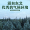 一品爽 精选东北黑木耳108g 黑山木耳 肉厚无根 单片小碗耳 山珍南北干货