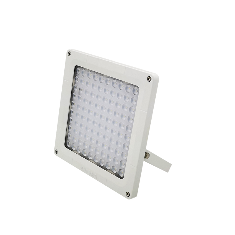 日昇之光(RECEN) RGTL253-100W 5700K/220V 防护等级:IP65 LED棚顶灯高清大图