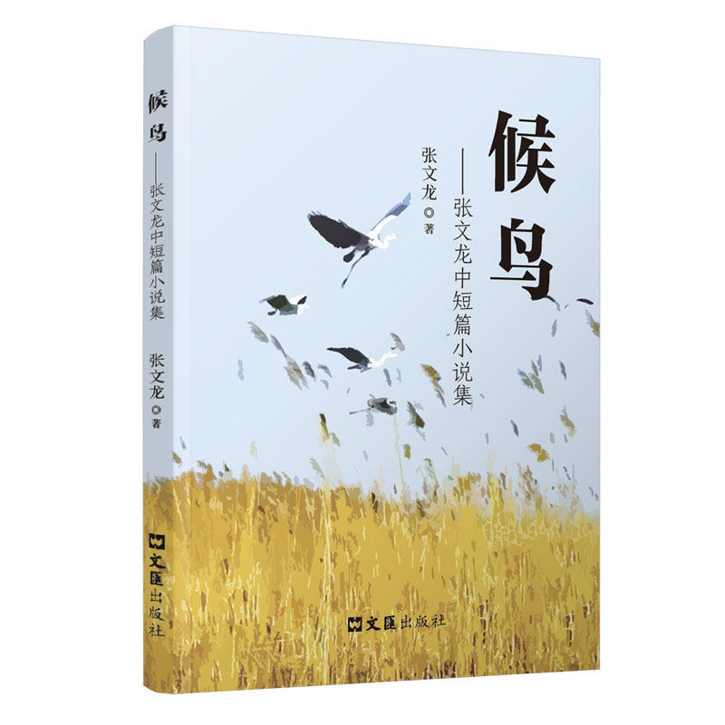 正版新书]候鸟张文龙著 著9787549645381高清大图