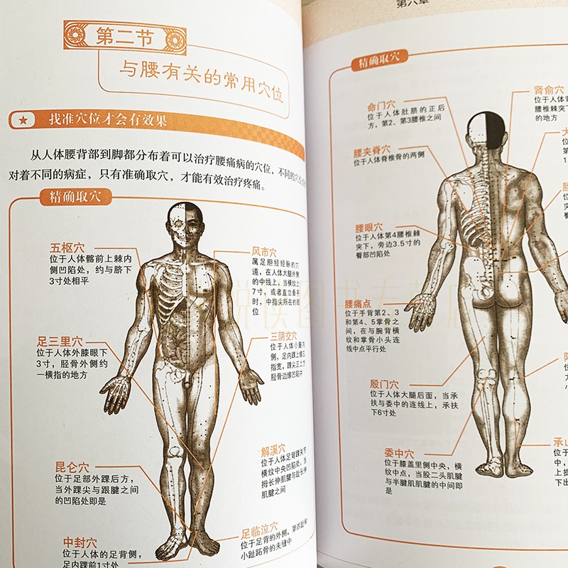 [醉染正版]图解腰椎病速效自疗 家庭保健按摩书籍 中医养生书书 食疗方法图说病理图解疗程家中自疗简单方便 腰酸背痛中高清大图