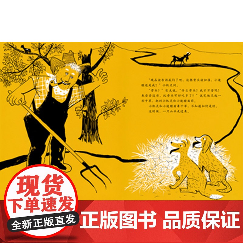 小机灵和小迷瞪硬壳精装图画书启发绘本凯迪克大奖适合3岁4岁5岁6岁亲子阅读书籍正版童书高清大图