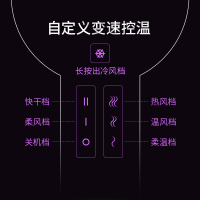 飞科（FLYCO）FH6618电吹风 负离子功能 6档变速 控温调节热量均衡护发2000W大功率可折叠手柄家用发廊吹风筒