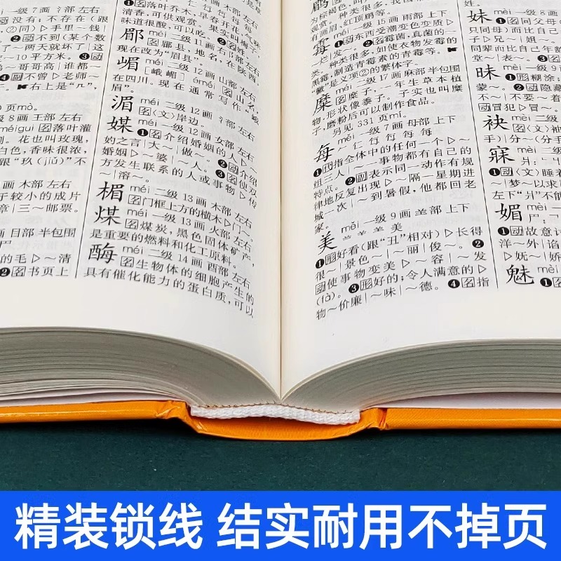 [单册]学生规范字典(国标版) [正版]学生规范字典国标版字典2024新版中小学生精装版大字典全功能工具书汉语辞典词语字高清大图