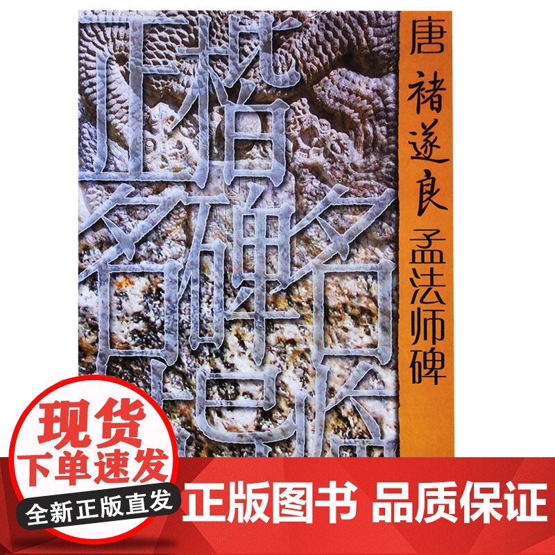 正版 正楷名碑名帖导临——唐褚遂良孟法师碑 丁剑波 山东美术出版社高清大图