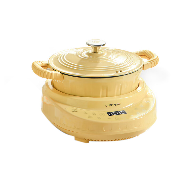 利仁珐琅锅4L铸铁锅炖煮锅煲汤焖煮锅多功能DHG-D4160