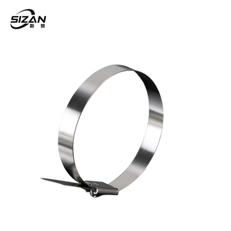 斯赞 304不锈钢自锁式扎带 10*1000mm 根