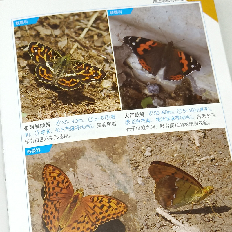 [醉染正版]正版 昆虫识别图鉴 1004种昆虫1600多张高清照片自然百科知识读物全书科普书韩永植动物昆虫图鉴识别辨高清大图