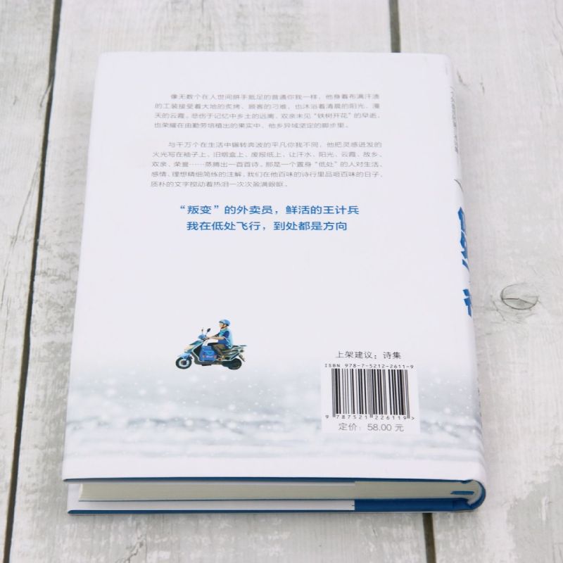 [正版]低处飞行 现象级网红诗人王计兵 海量报道 2600多万人阅读 “叛变”的外卖员用诗歌找补生活 记录普通人且匍匐高清大图
