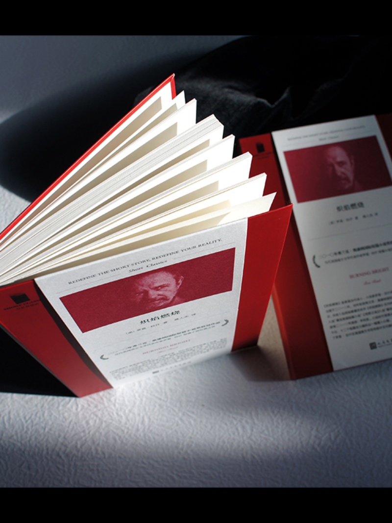 [正版] 炽焰燃烧 短经典精选 获弗兰克•奥康纳国际短篇小说奖 罗恩•拉什 现当代虚构外国文学短篇小说集书籍 美国高清大图