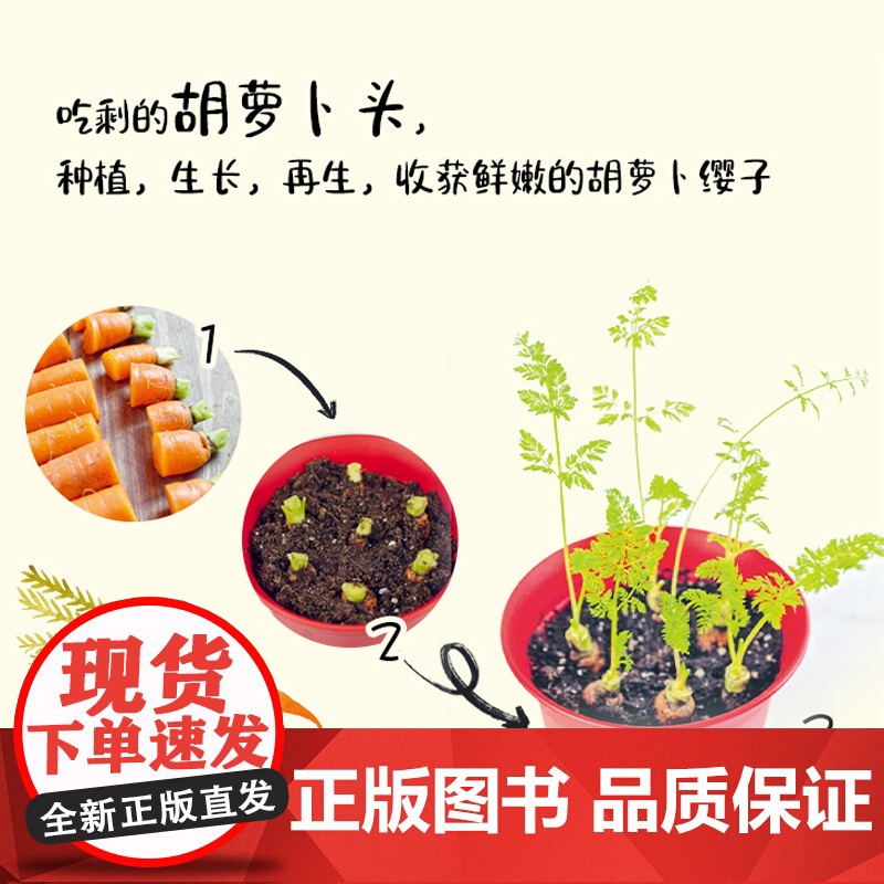 生活-零浪费种菜 种菜养花园艺生活阳台厨房家庭零浪费 菜根别丢 一盆土一杯水 种出新菜 一步一图 零基础也可以轻松上手高清大图
