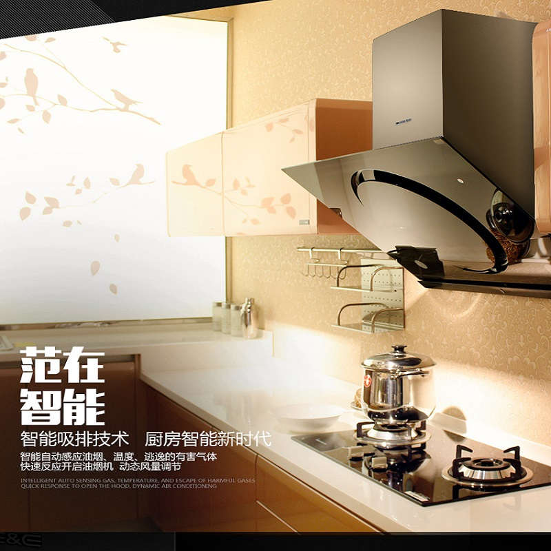 云南德意Q5系列油烟机CXW-230-HJ9855