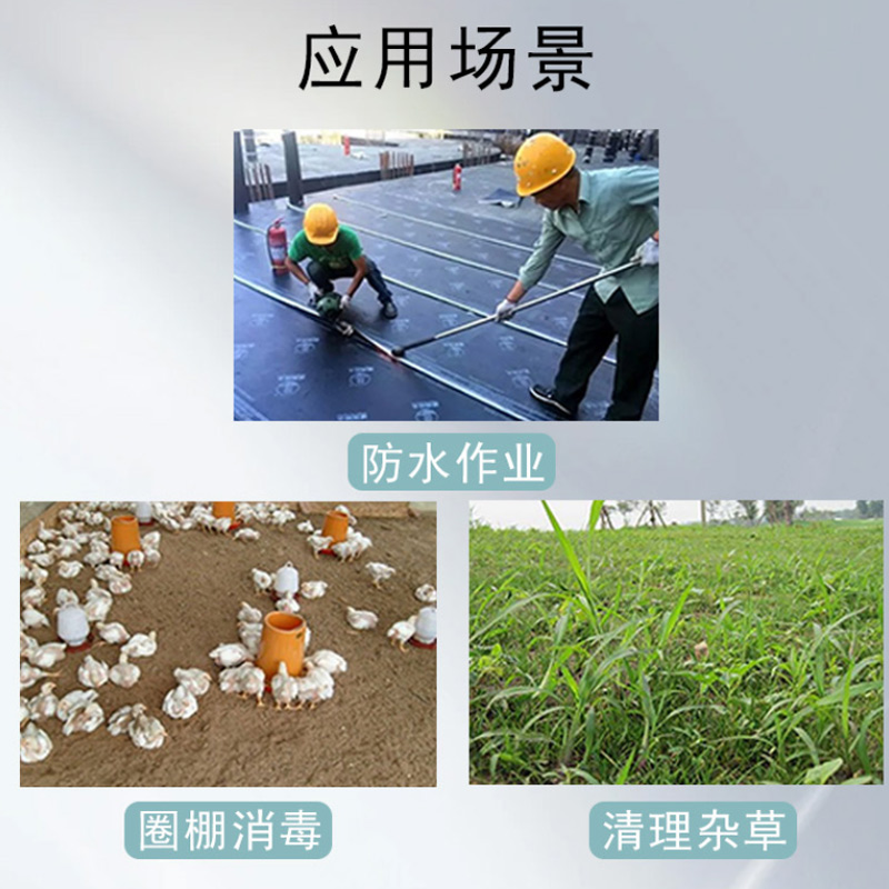 璐盐 喷灯 2L 个高清大图