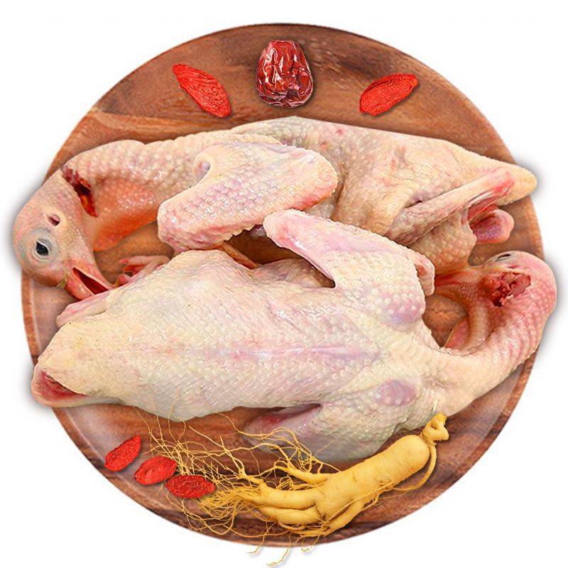 新鲜乳鸽3只装现杀鸽子肉农家鸽子生鲜