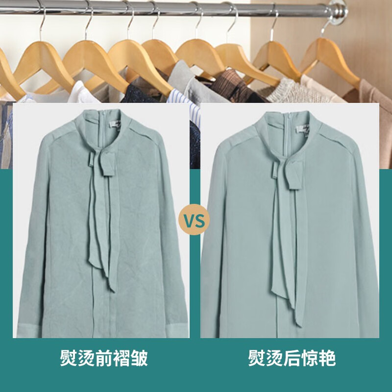 西屋(WESTINGHOUSE) 手持挂烫机 WH-PG006B高清大图