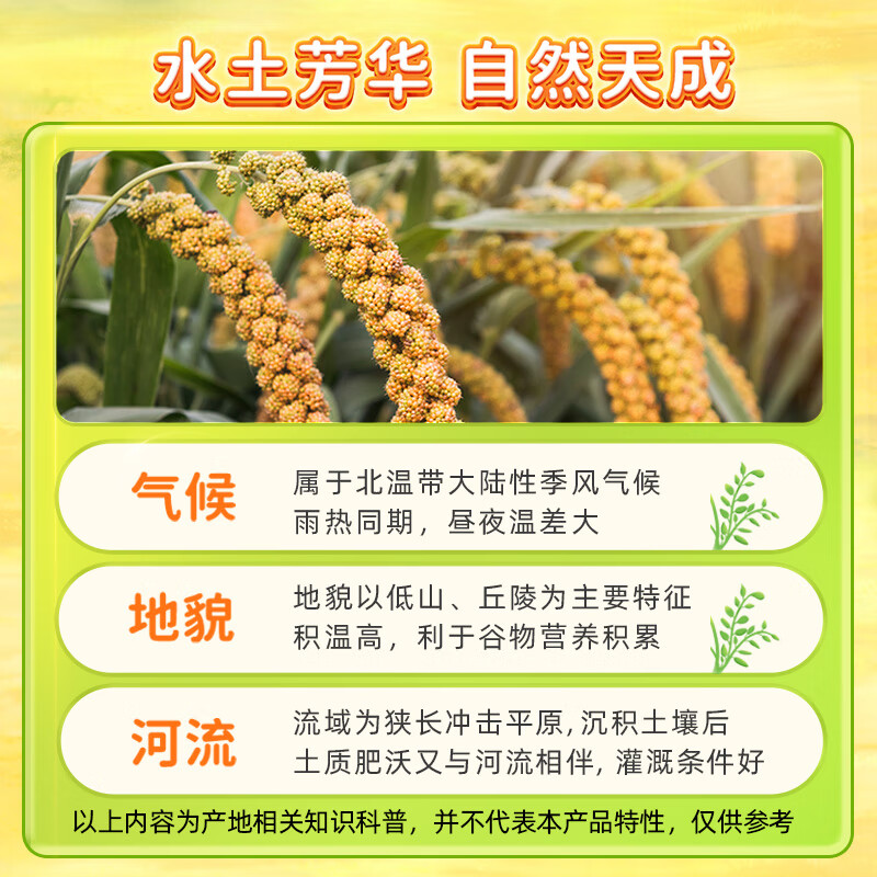 十月稻田 内蒙古黄小米 5斤 京东产品溯源 五谷杂粮 早餐煮粥 粗粮蒸饭高清大图