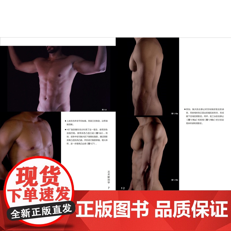 形体精雕诠述:高阶技能图谱高清大图